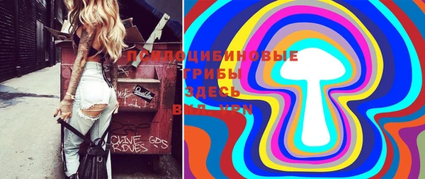 не бодяженный Алзамай