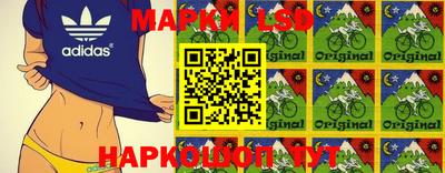 стаф Новозыбков