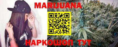 стаф Новозыбков