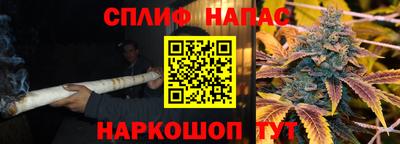стаф Новозыбков