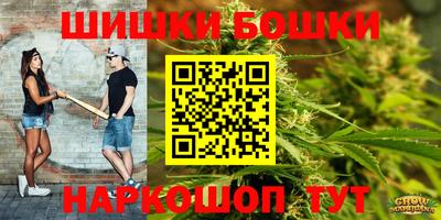 стаф Новозыбков