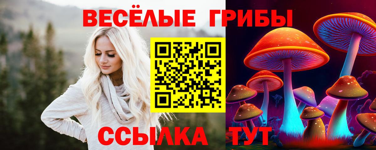 Псилоцибиновые грибы мицелий Евпатория