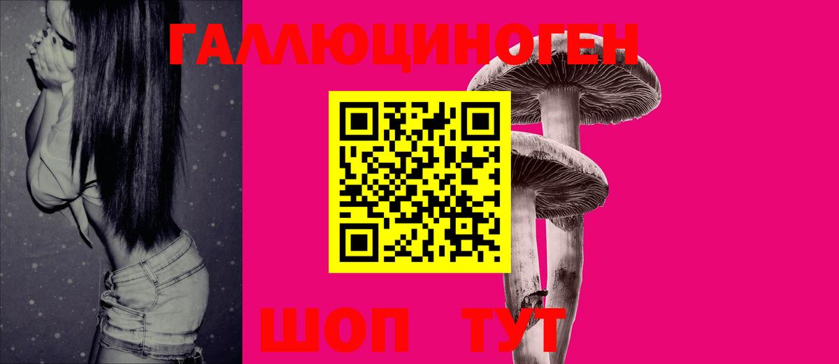 Евпатория  Галлюциногенные грибы прущие грибы  Псилоцибиновые грибы MAGIC MUSHROOMS  Вход с VPN 
