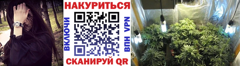 сколько стоит  Евпатория  Бошки марихуана AK-47 